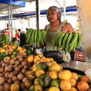 Feira da Reforma Agrária e Festival do MST: Por Terra, Arte e Pão!
