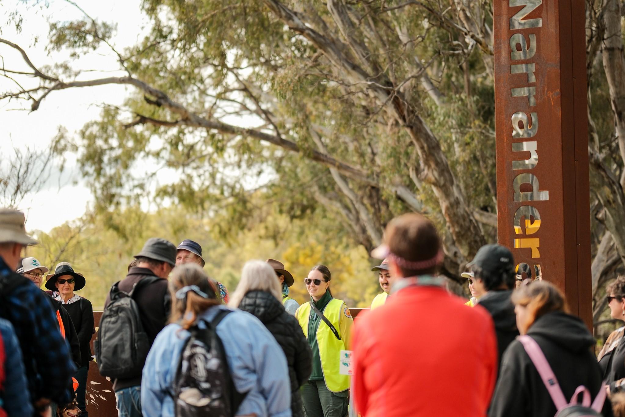Narrandera Koala Festival