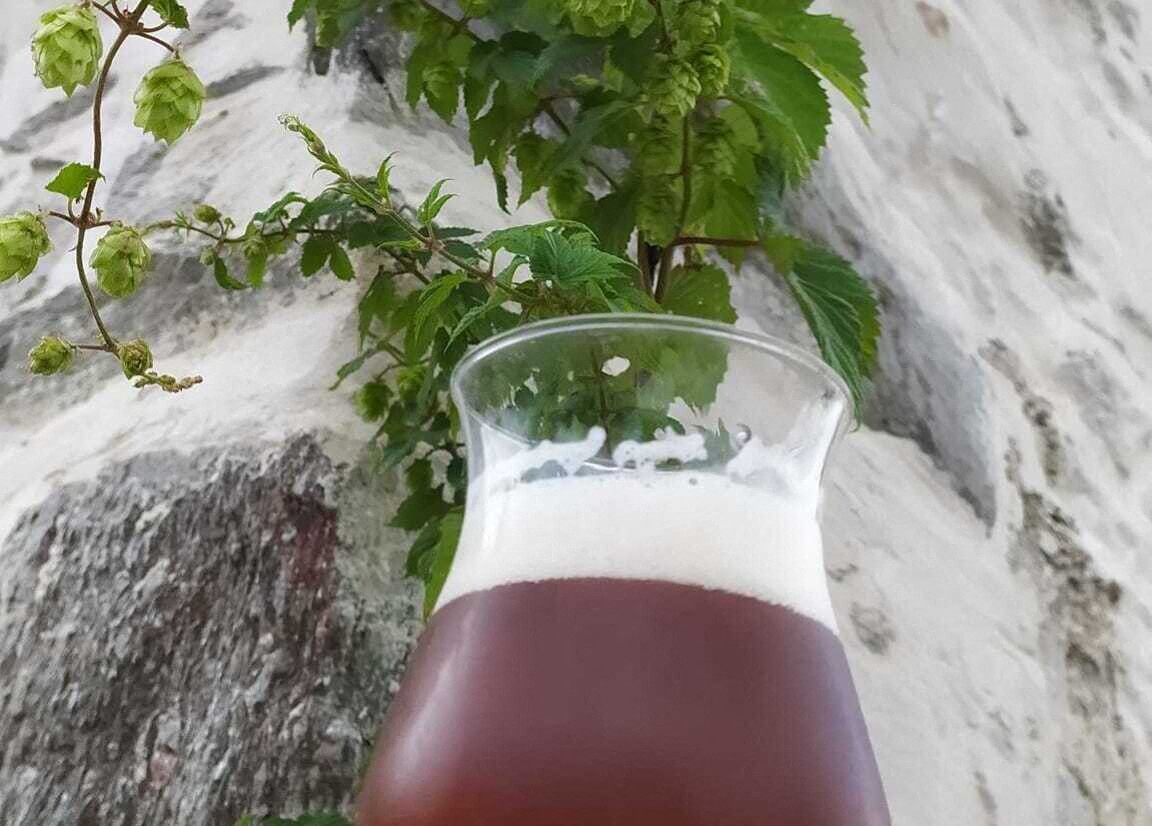 Fête du houblon et de la bière Hommelpap