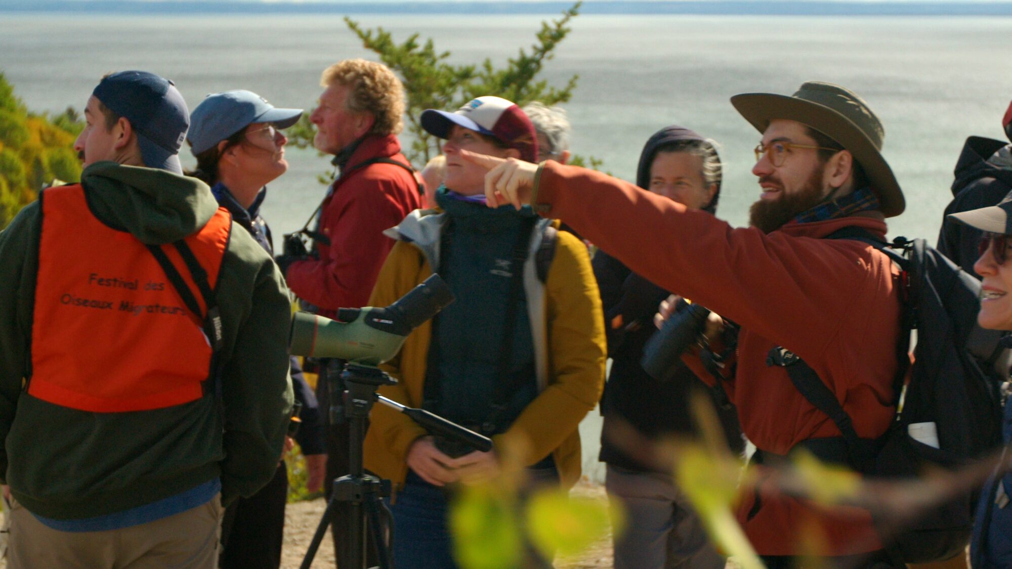 Festival des oiseaux migrateurs de la Côte-Nord