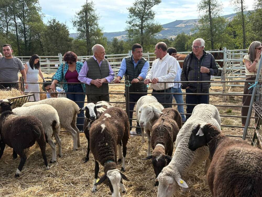 Feria Ganadera del Aravalle