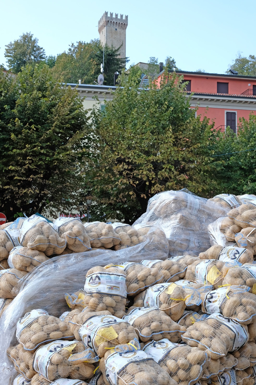 Sagra della Patata e del Parmigiano Reggiano di Montagna
