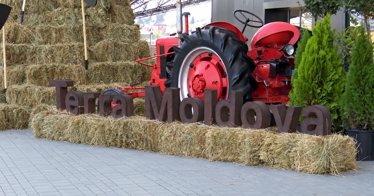 Terra Moldova Expo