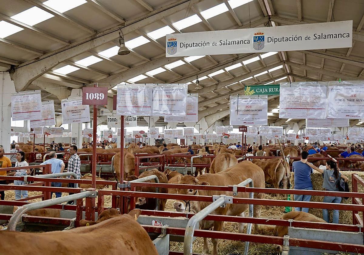 Salamaq 2026, Feria del Sector Agropecuario y 37 Exposición Internacional de Ganado Puro