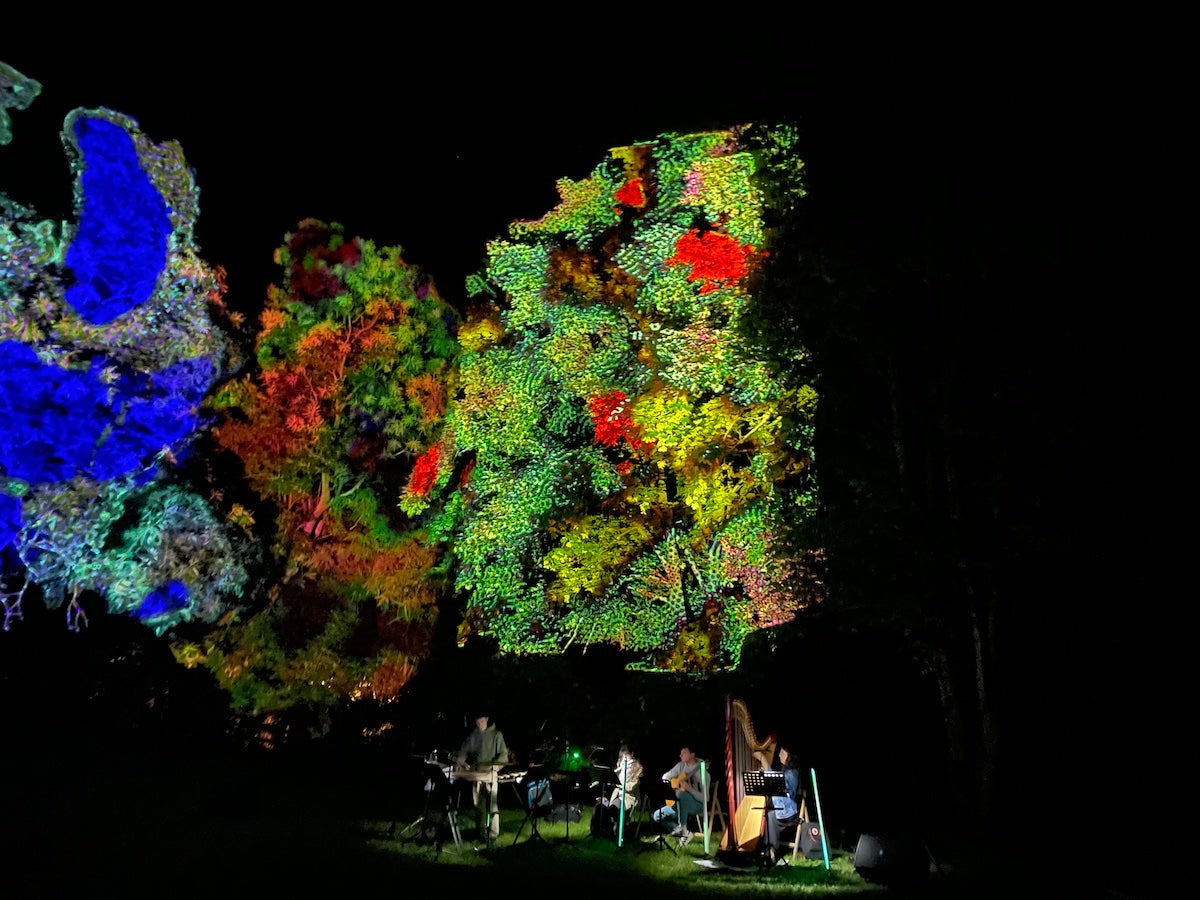 Festival Phonème