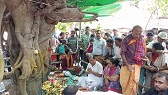 মনসা ও বিশ্বকর্মা পূজা