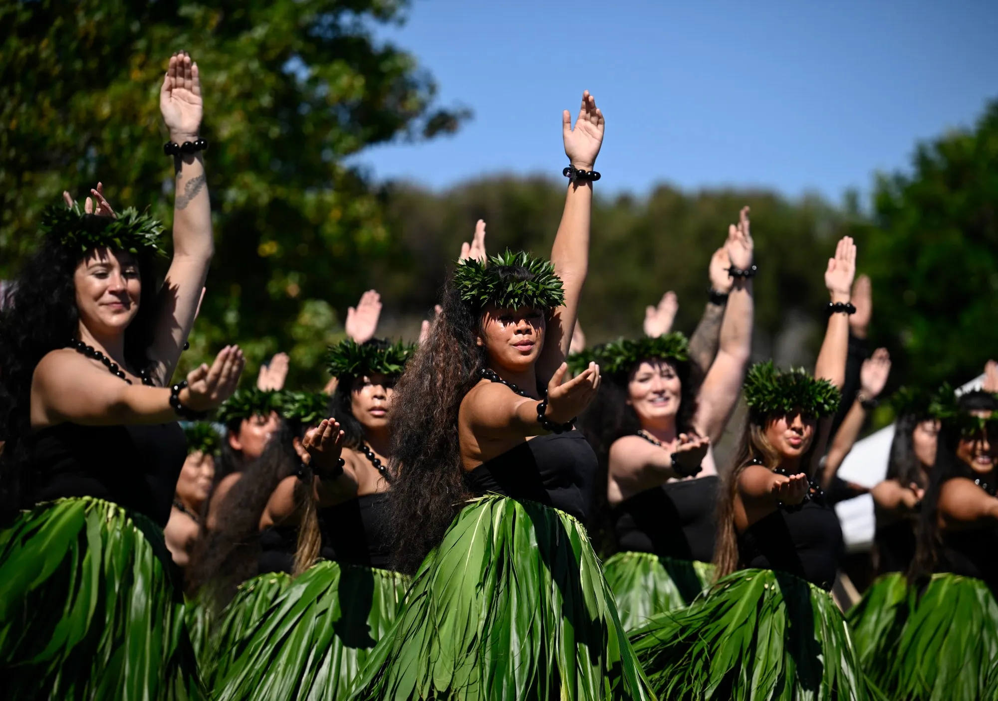 Pacific Islander Festival
