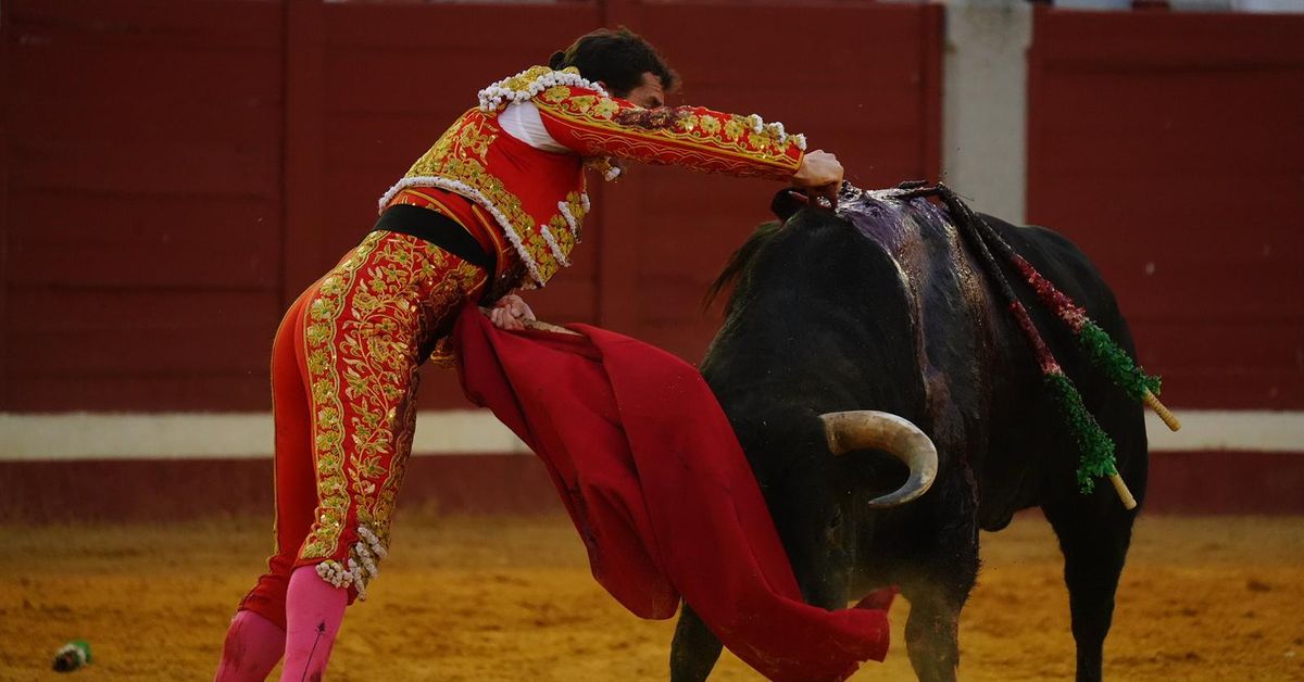 Feria de Pozoblanco