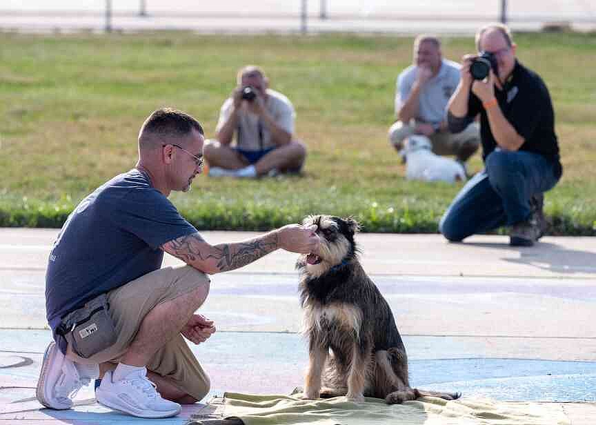 Puppies for Parole Dog Days