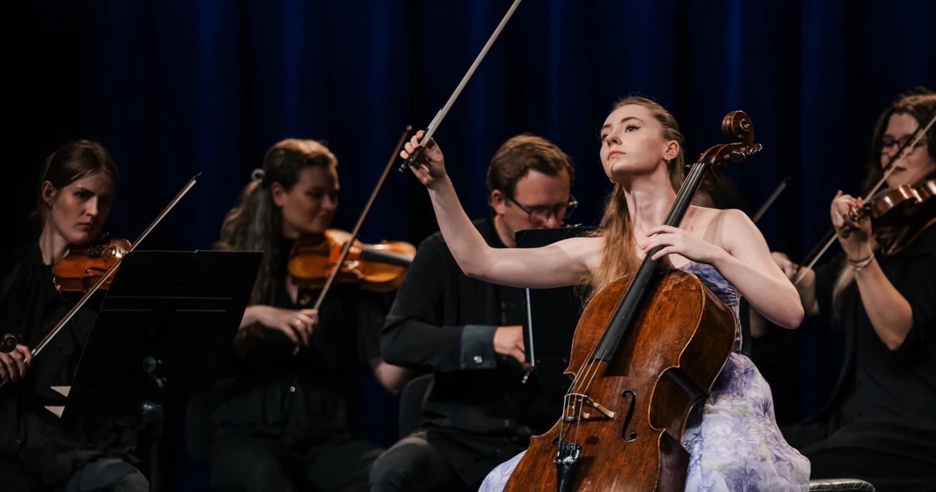 Jubilate Vijolissimo