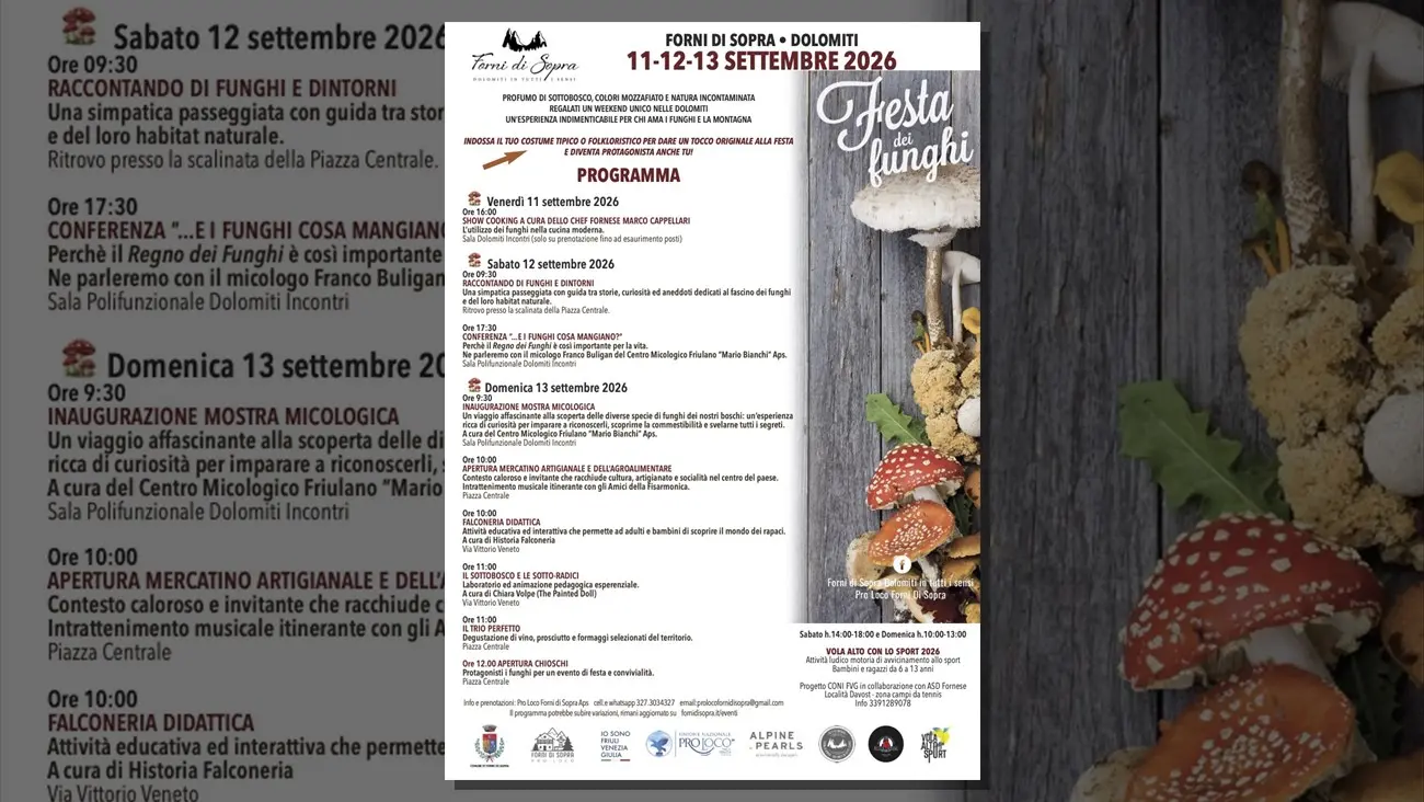 Festa dei Funghi