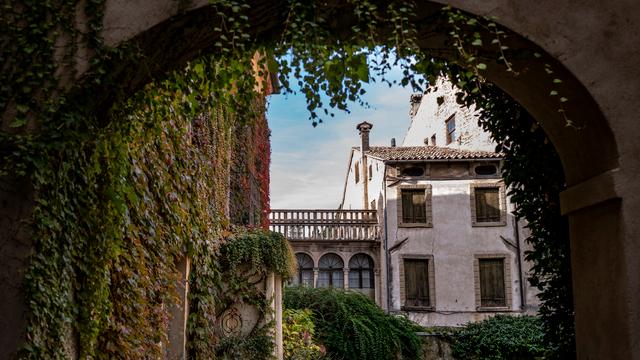 Klimt a Villa Freya. Bellezza e natura nelle grafiche d'arte