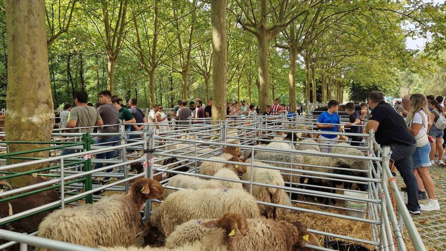 III Feria de Ganado de Galdames
