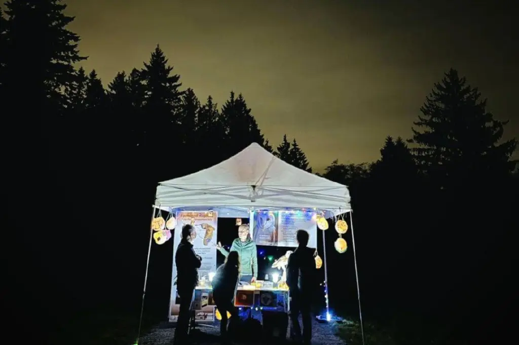Creatures of the Night Lantern Festival