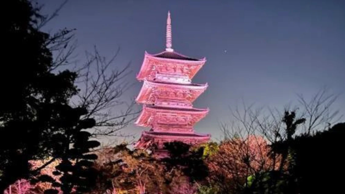 備中国分寺五重塔 ピンク色ライトアップ