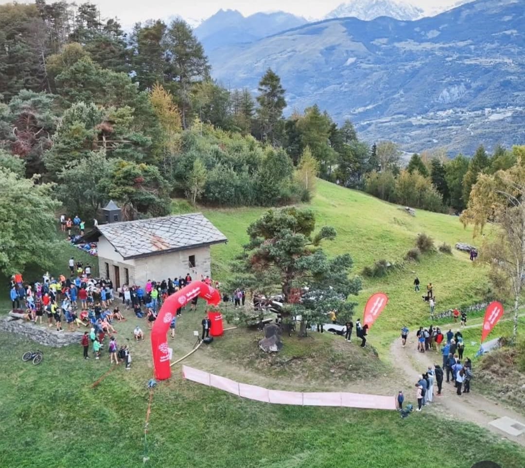 Festa dell’Uva