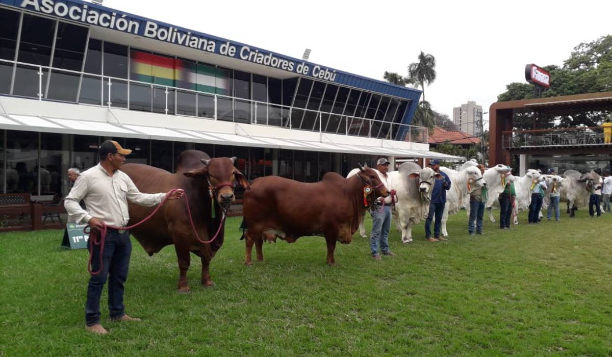 Expocruz 2026