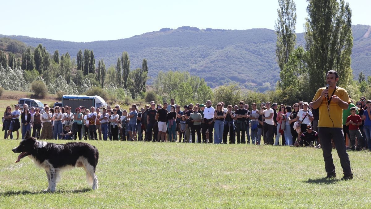 Feria Ganadera del Valle Reyero