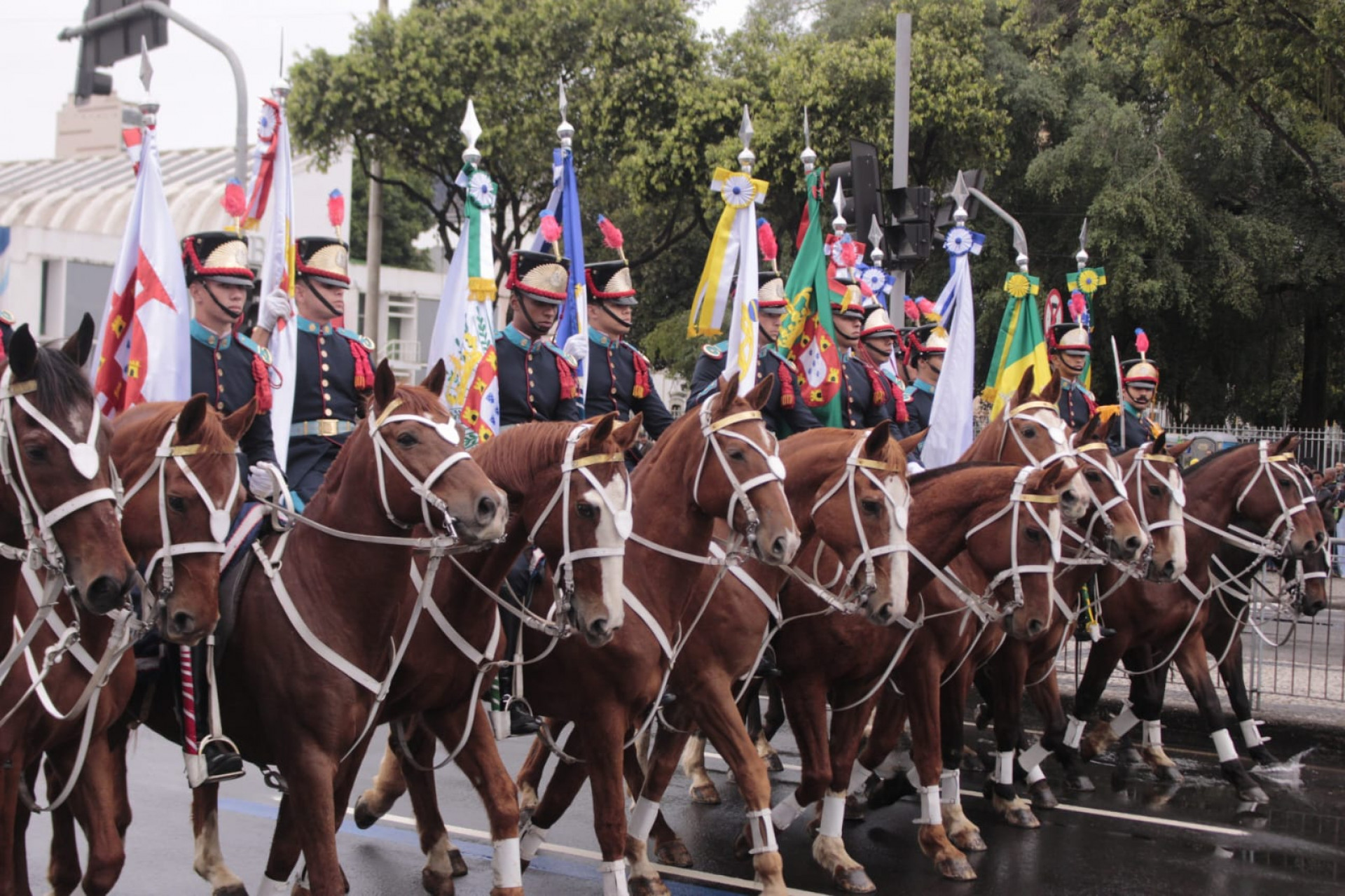 Desfile de 7 de setembro