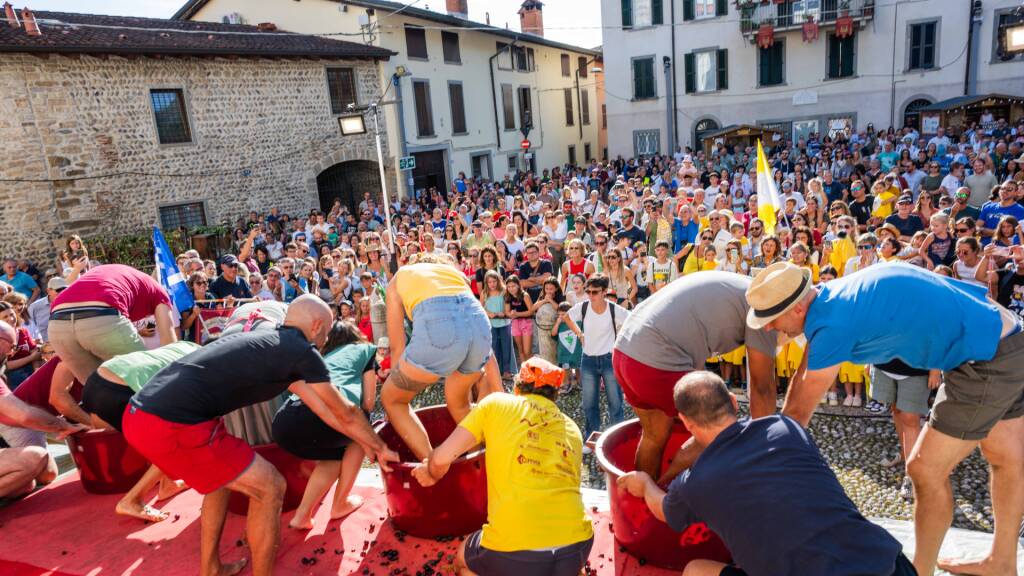 Festa del Moscato di Scanzo e dei Sapori Scanzesi