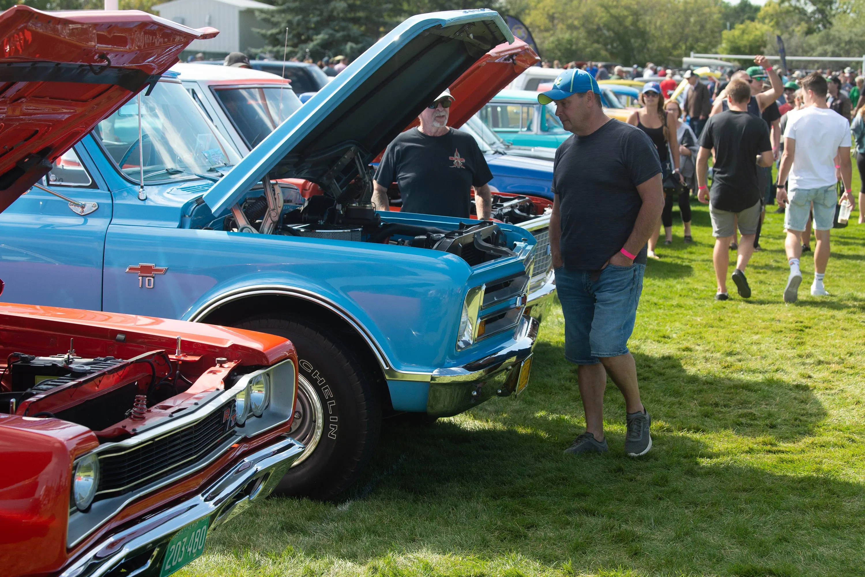 Labour Day Show N Shine
