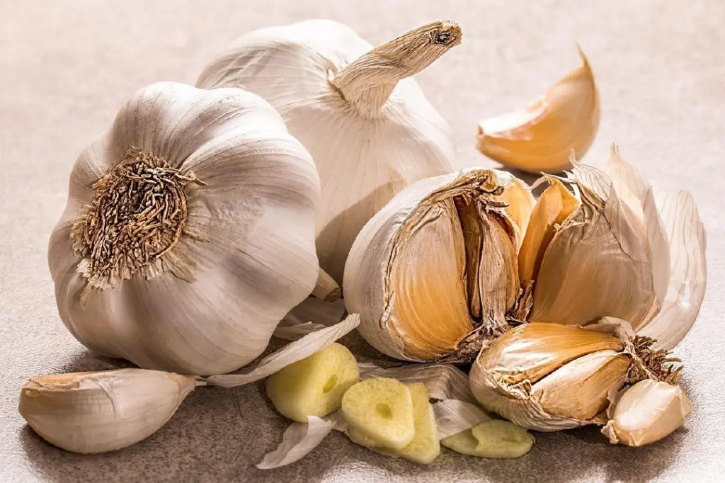Stinking Rose Garlic Festival