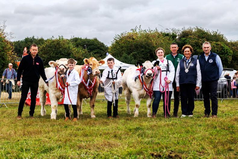 Royal Meath Show