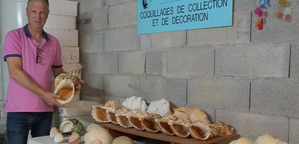 Exposition et Bourse aux coquillages d'Arthès