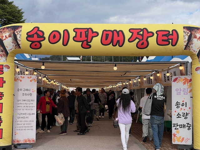 제30회 봉화송이축제