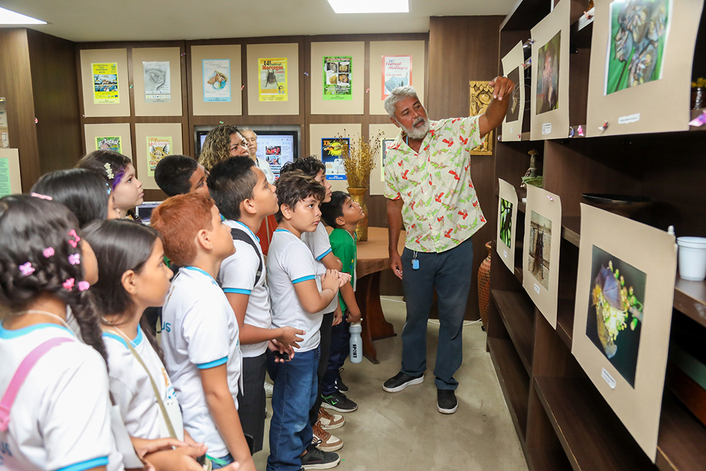 Exposição "Festival dos Morcegos"
