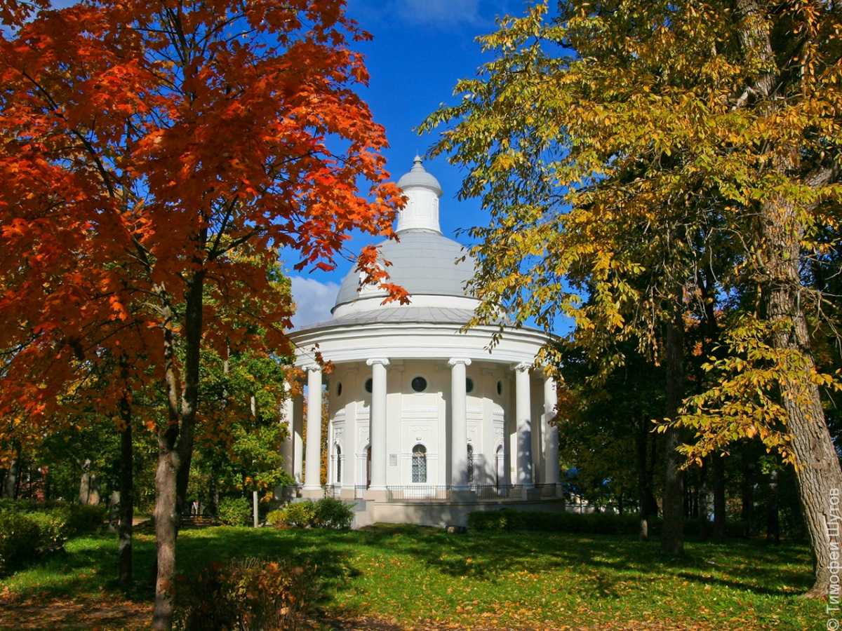 Дни колокольной славы
