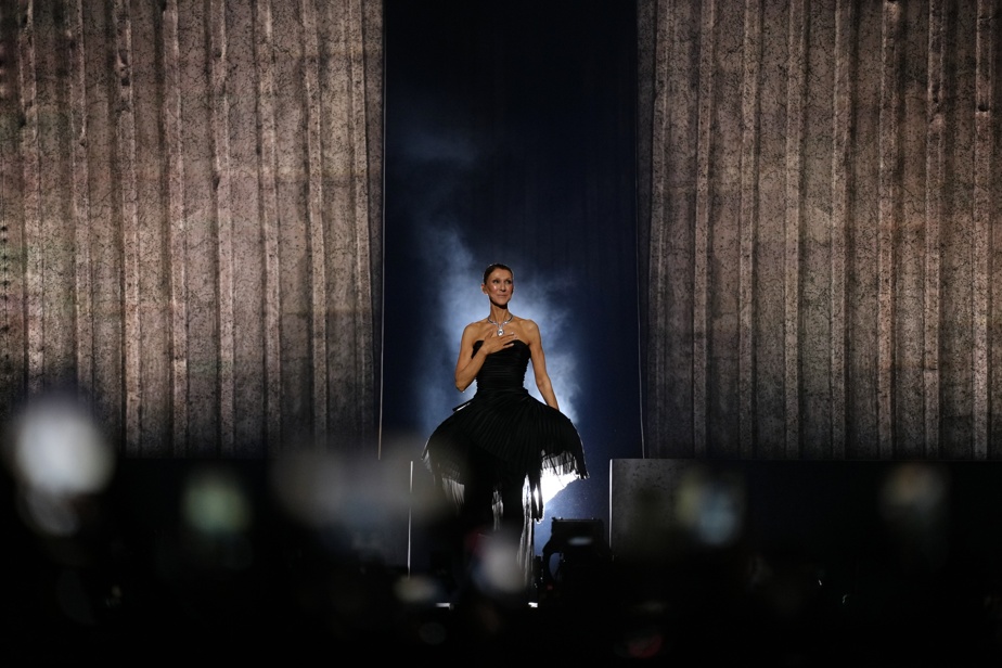 Série de concerts de Céline Dion à Paris