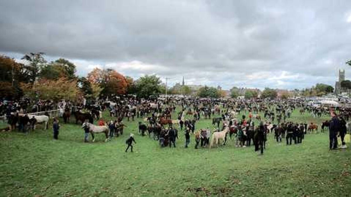 Ballinasloe Horse Fair and Festival