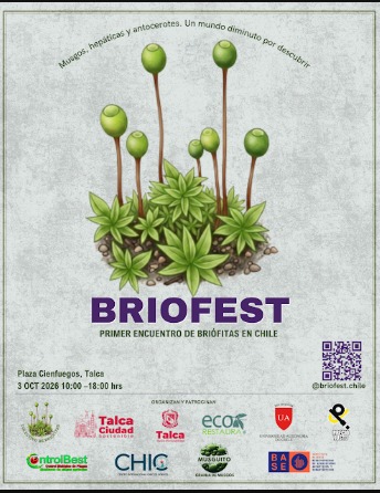 Briofest