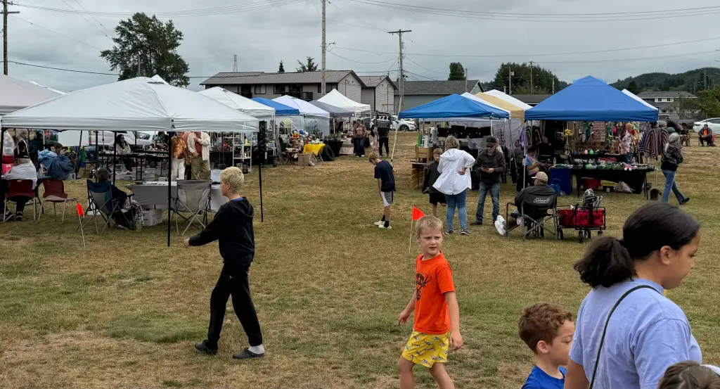 Cosmopolis Festival in the Park