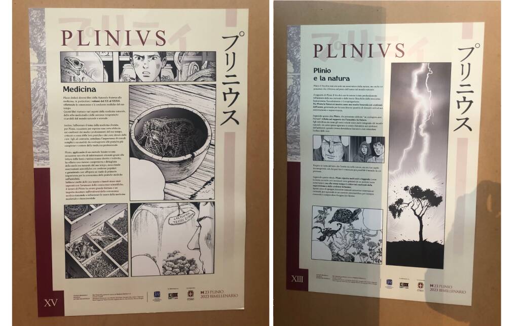 PLINIUS – Quando la Storia diventa manga!