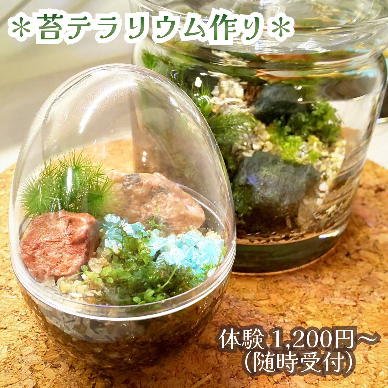 グッド・ウッド フェスティバル