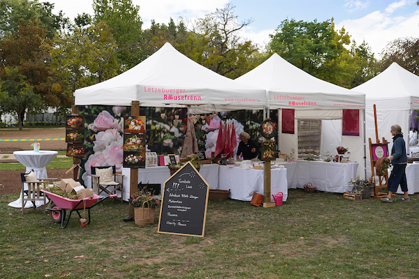 Rose Festival
