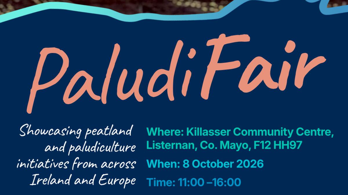 PaludiFair