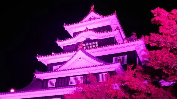 岡山城をピンクにライトアップ
