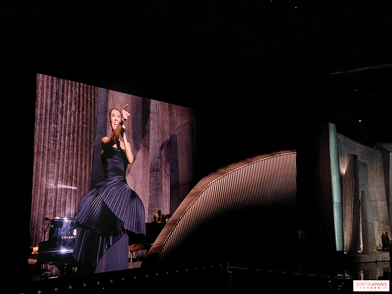 Céline Dion en concert à Paris
