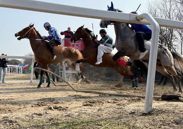 Alla scoperta del cavallo da Palio