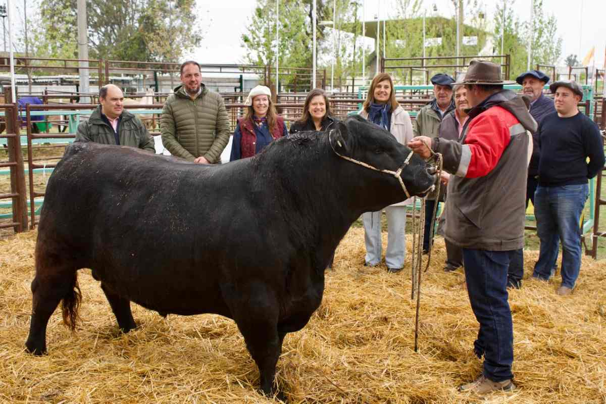 100ª Exposición Agrícola Ganadera de Santa Rosa