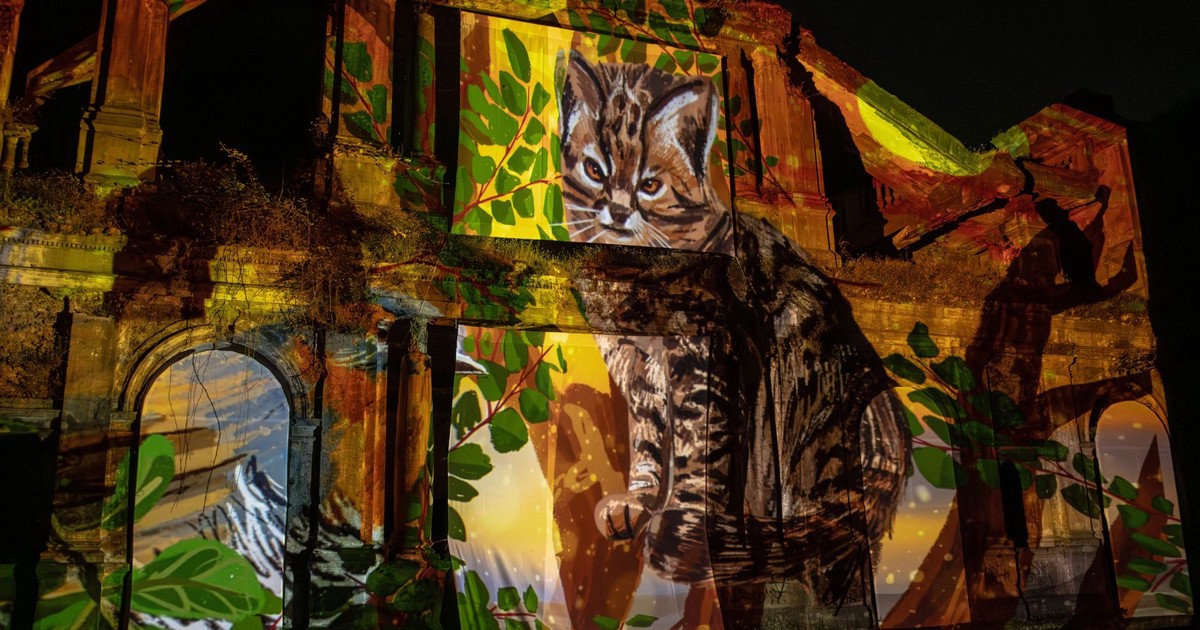 Festival Internacional de Artes Mediales y Naturaleza, Eureka