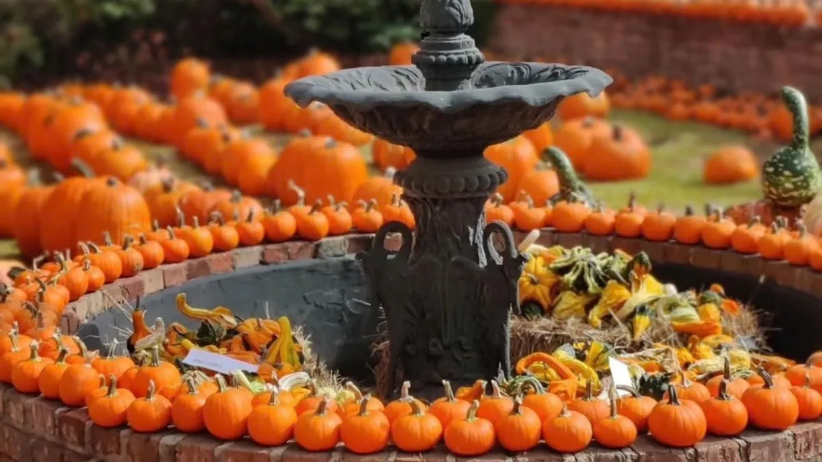 Downtown Natchez Pumpkin Patch Festival