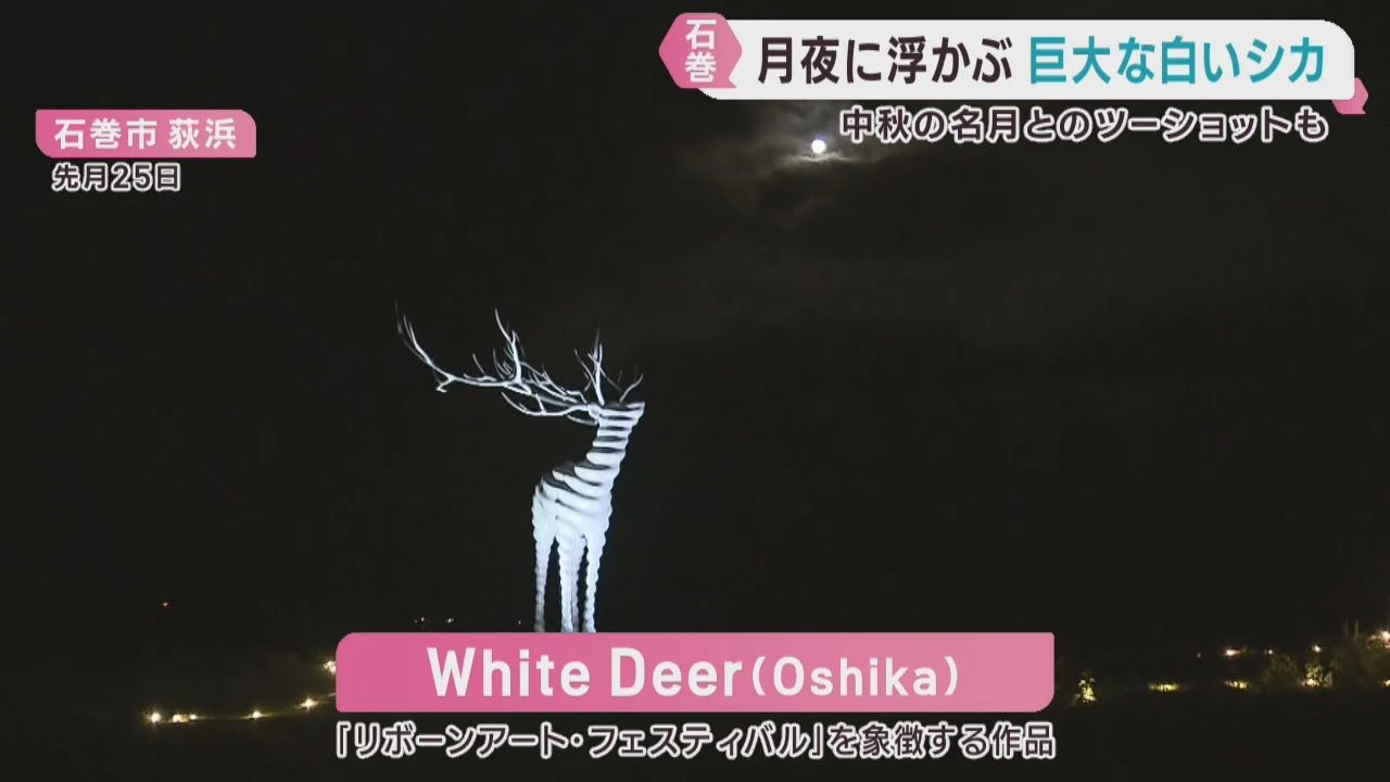 シカのオブジェ鑑賞ナイトツアー