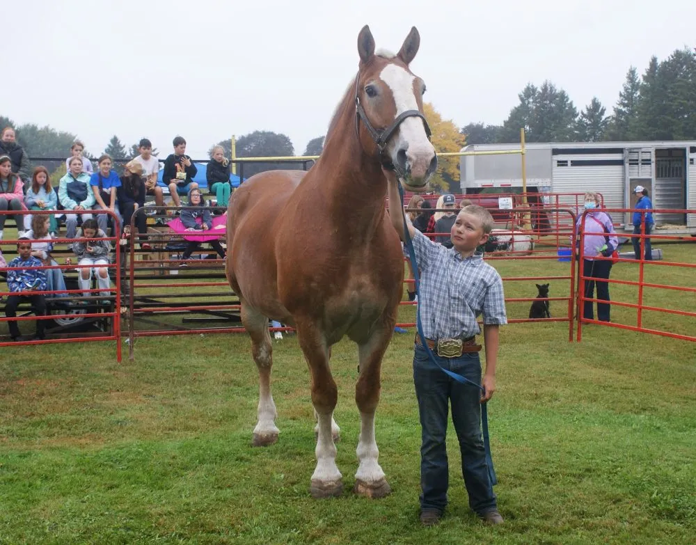 173rd Sydenham Fall Fair