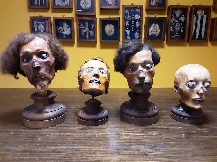 Festa della Storia