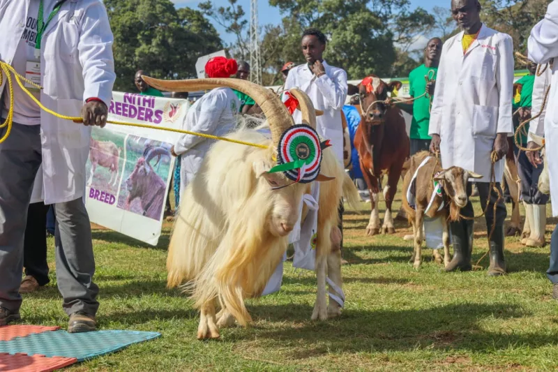 125th Nairobi International Trade Fair