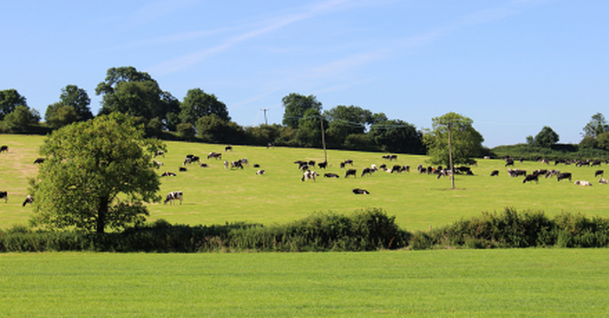 Social farming open day event at Achadh an Iúir